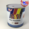 Sơn chống rỉ Hải Phòng gốc alkyd