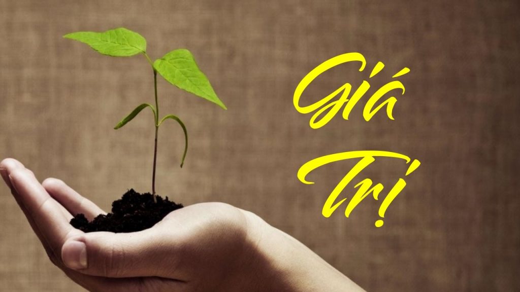 Đánh giá giá trị